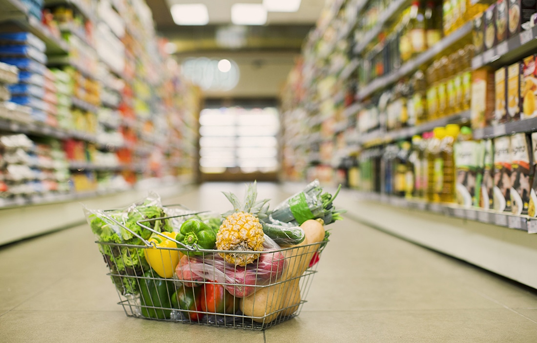 Pests Affecting Food Retail Businesses