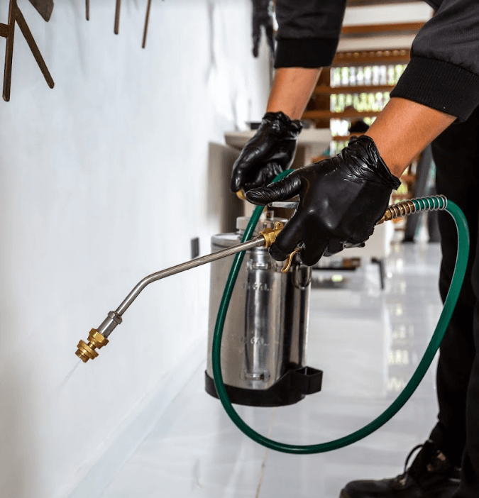 retail store pest control