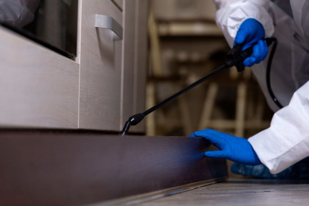 pest control in a restaurant