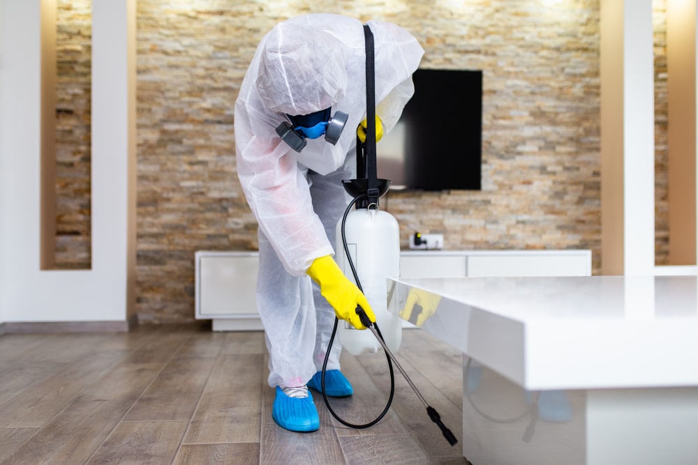 pest control in a commercial building