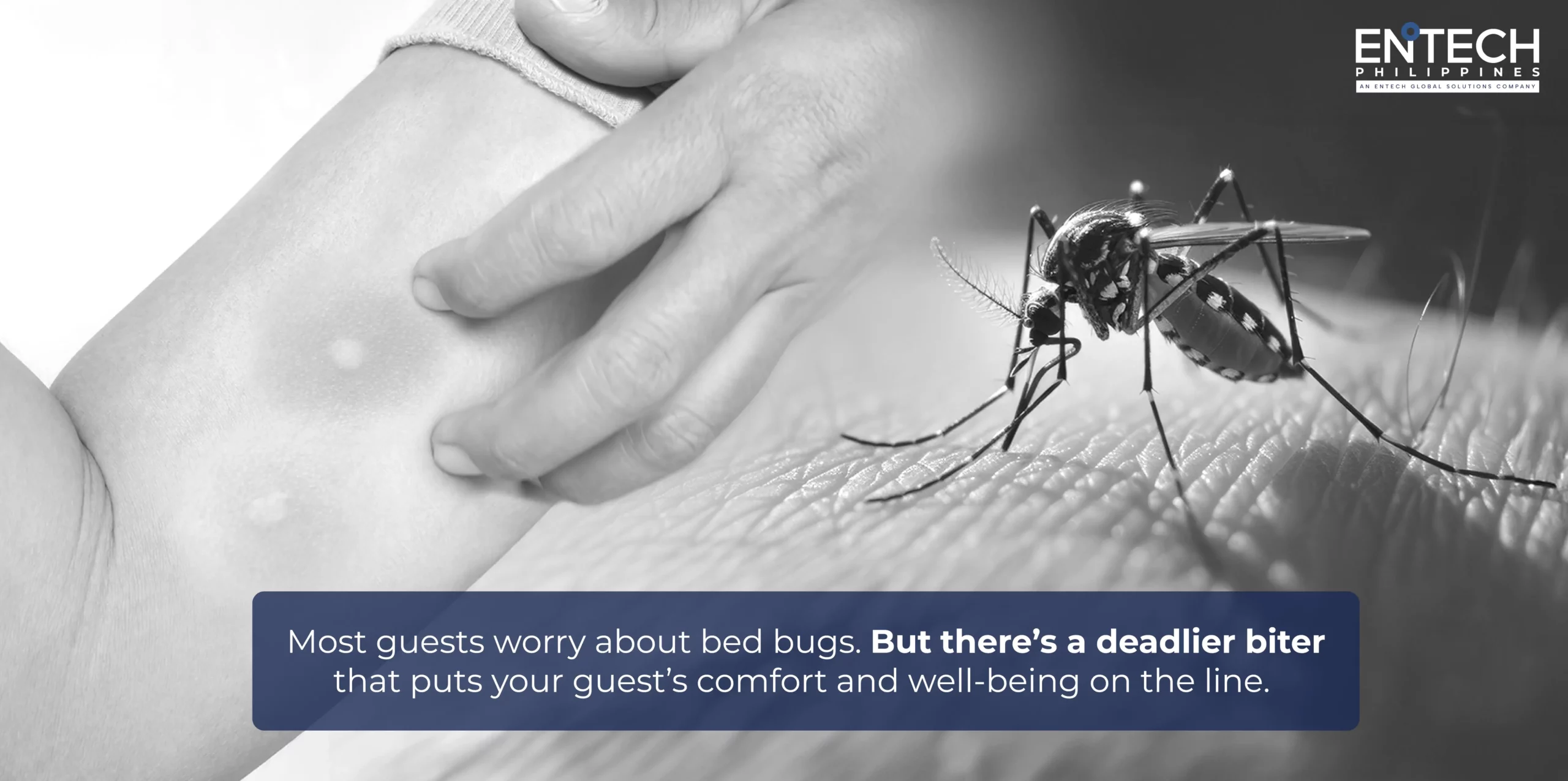 A graphic image with a copy: "Most guests worry about bed bugs. But there’s a deadlier biter that puts your guest’s comfort and well-being on the line."