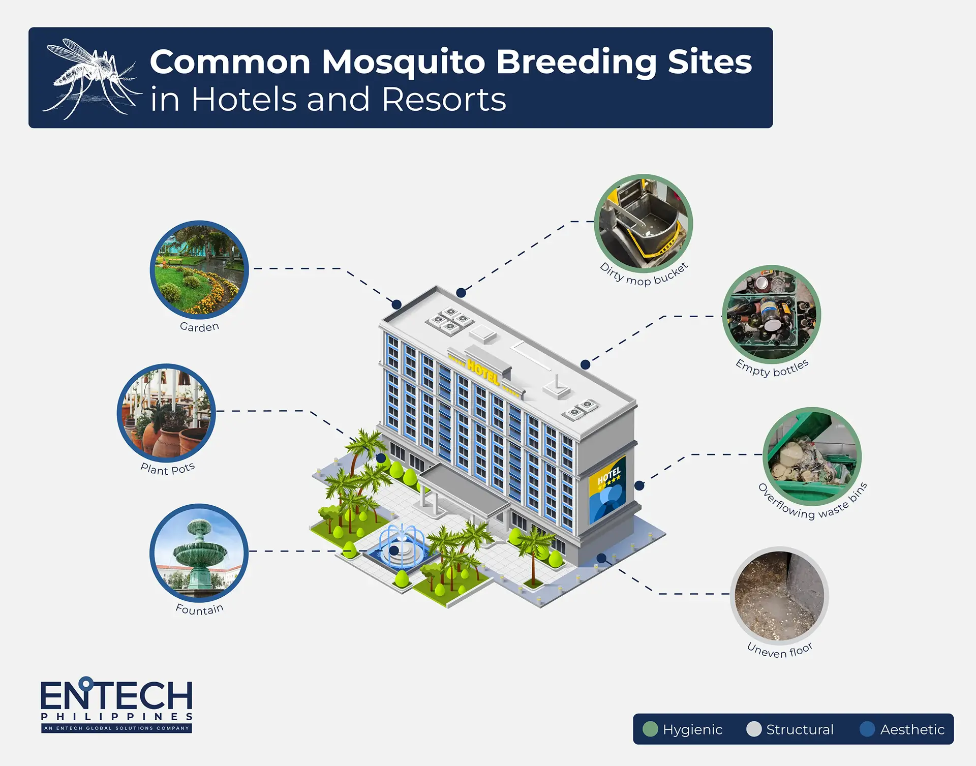 A graphic image with a copy: "Common mosquito breeding sites in hotels and resorts"