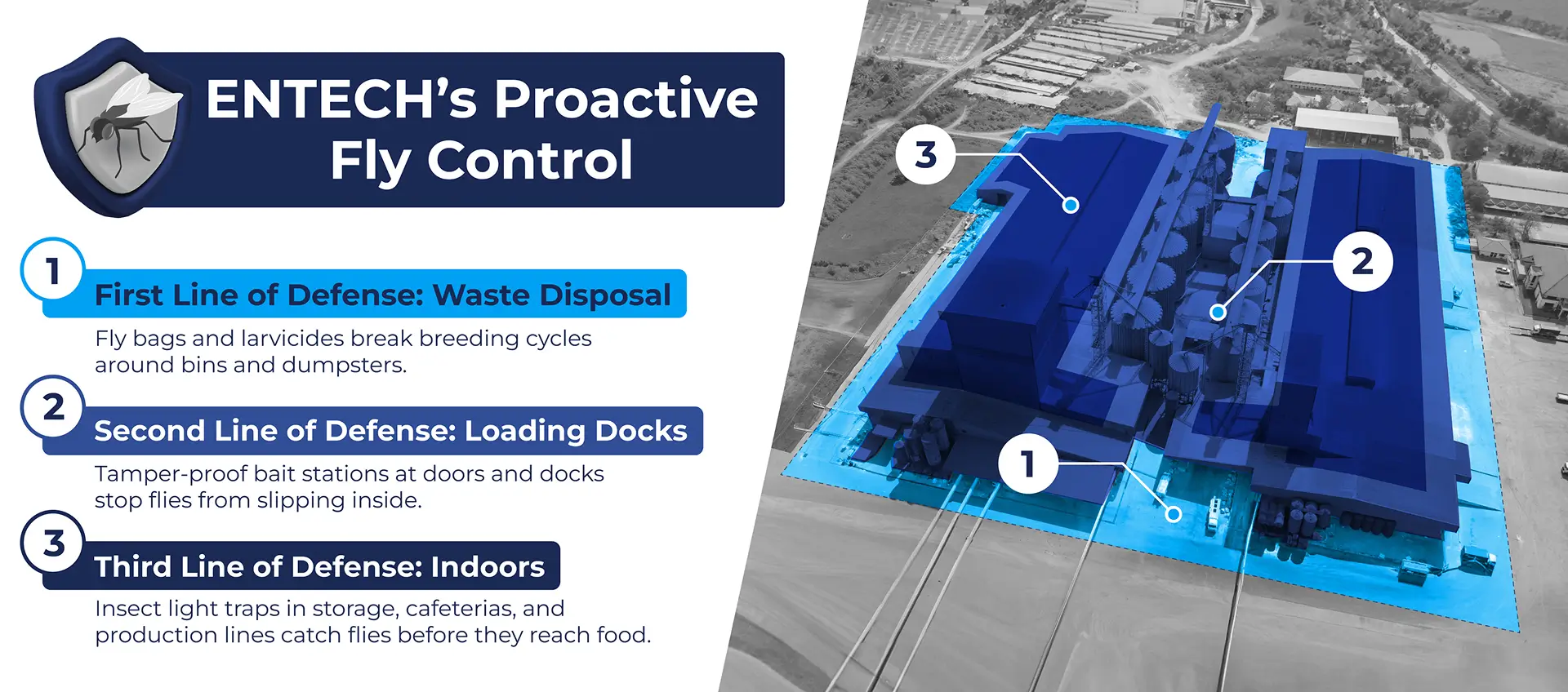 Infographic of ENTECH’s professional fly control services.