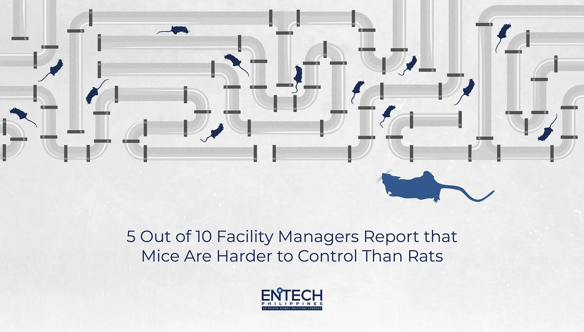 A statistical creative illustration that says half of facility managers are more worried about house mice than rats.