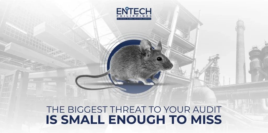 House Mouse Is the Most Common Cause of Audit Failure Featured Image