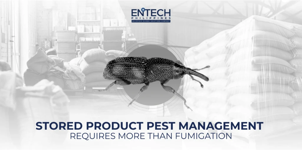 Featured image of a stored insect as the main focus with a backdrop of a manufacturing facility.