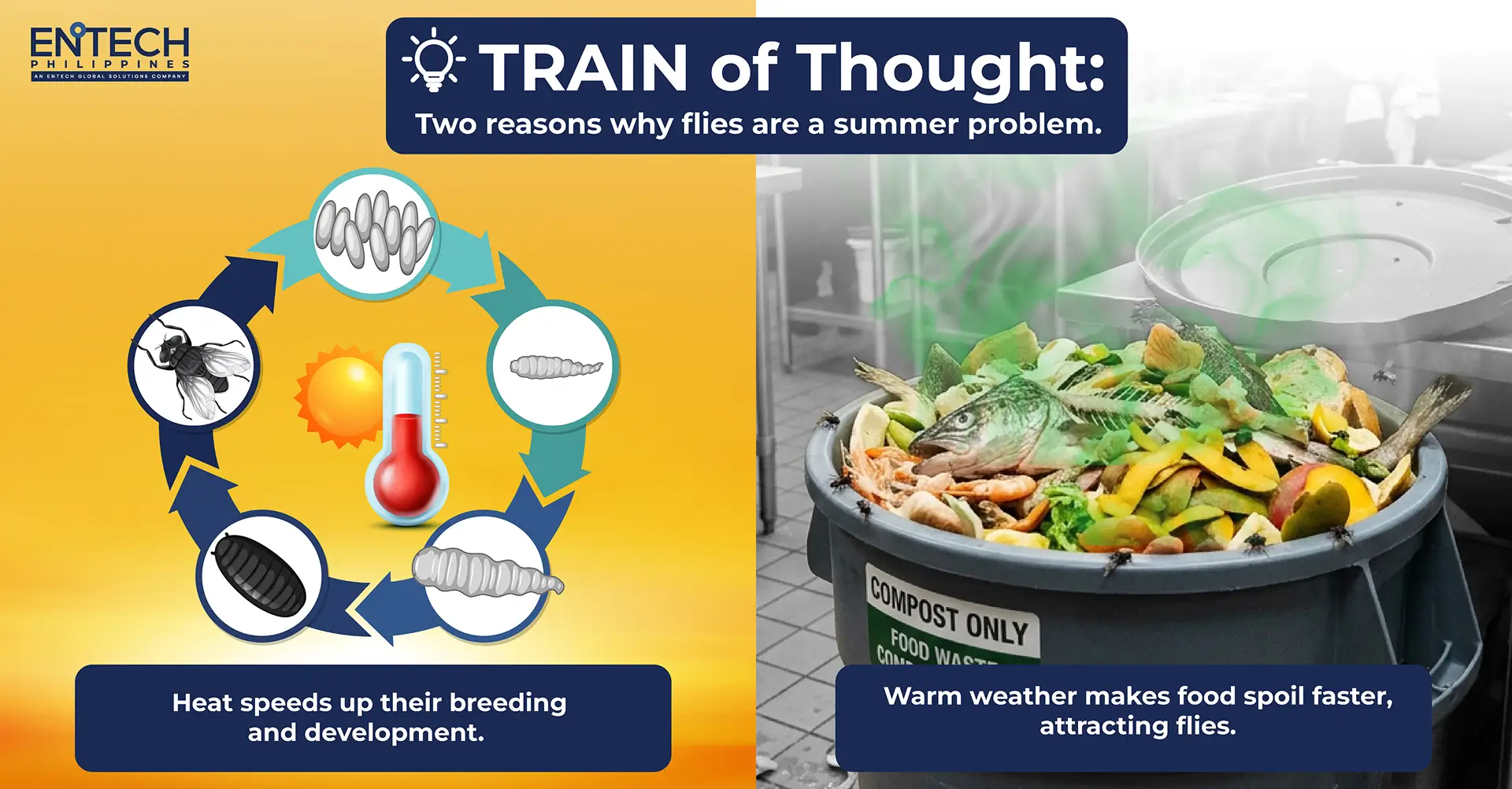 A creative showcase of how hot weather can contribute to fly infestation.