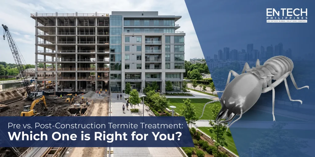 Pre-Construction vs Post-Construction Termite Management Featured Image