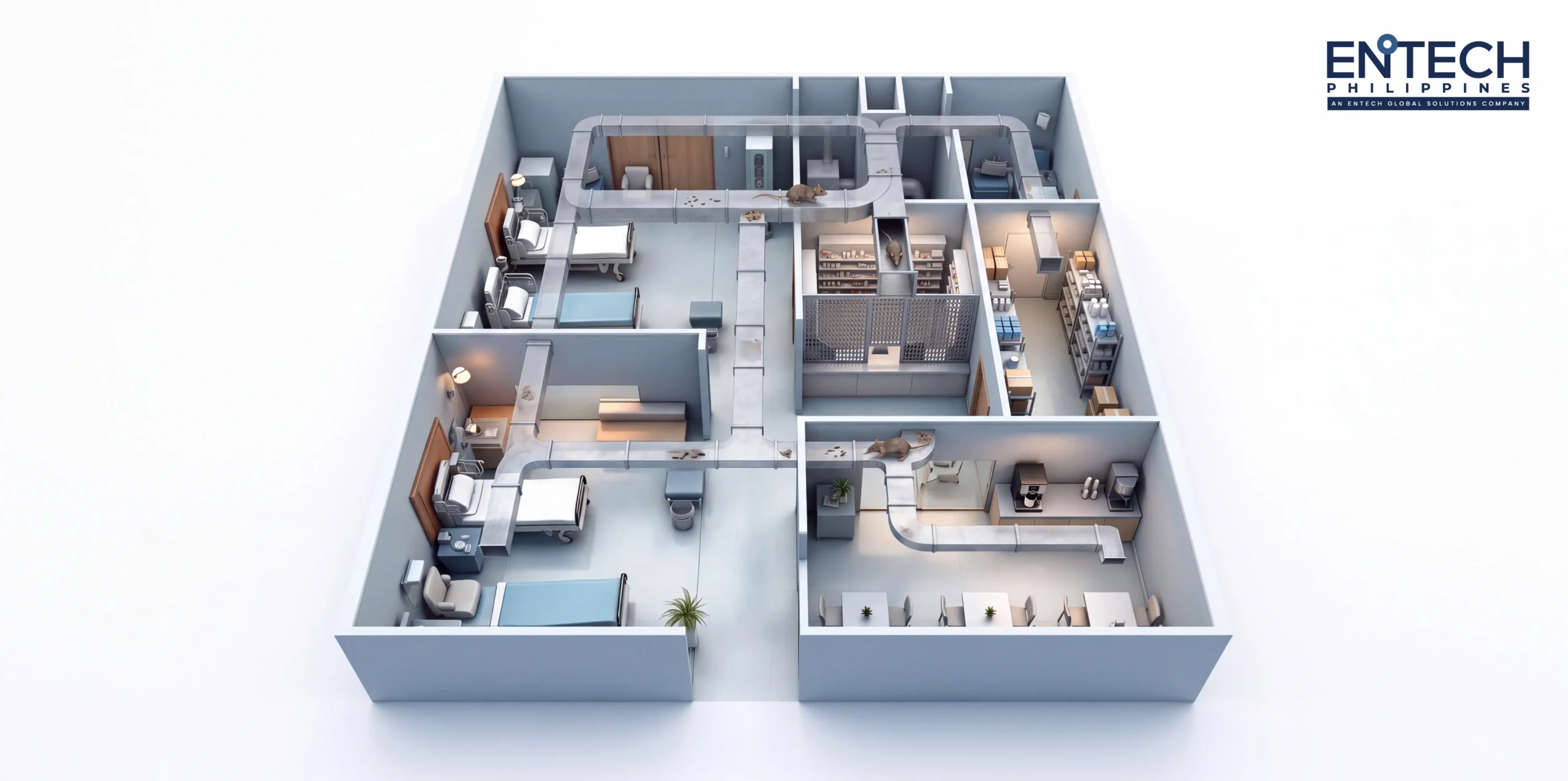A diagram illustrating a rodent moving through ceiling vents and open wall spaces to gain access to hospital rooms.
